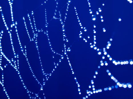 Bluetone Spider Web Abstract with Sparkling Dew Drops Selective Focus