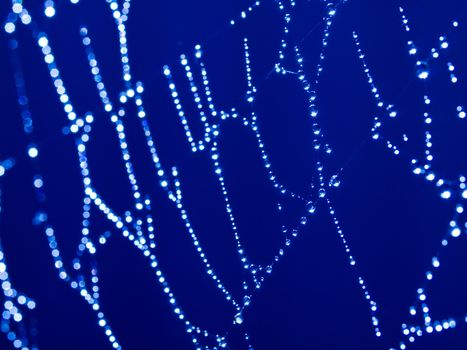 Bluetone Spider Web Abstract with Sparkling Dew Drops Selective Focus