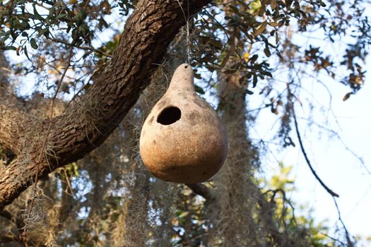 Hanging on the tree the bird's house 