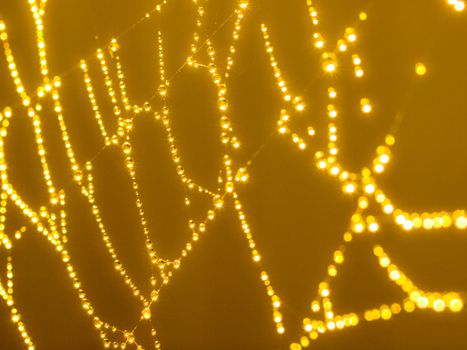 Goldtone Spider Web Abstract with Sparkling Dew Drops Selective Focus
