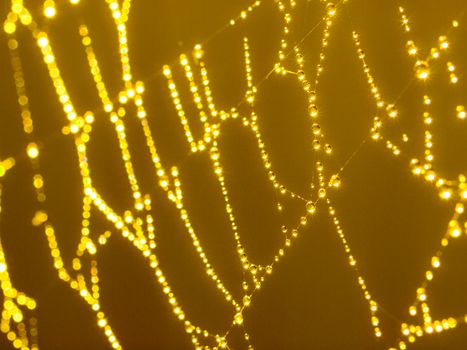 Goldtone Spider Web Abstract with Sparkling Dew Drops Selective Focus