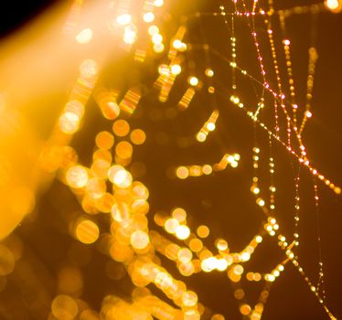 Goldtone Spider Web Abstract with Sparkling Dew Drops Selective Focus