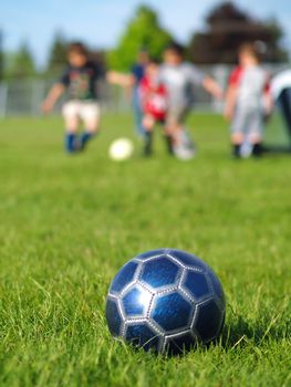 A blue soccer ball on field of green grass on a sunny day with kids in the background.