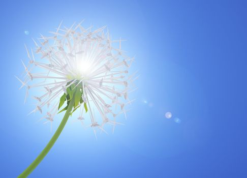 Dandelion flower symbolizes clean energy