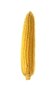 Tasty kitchen. Fresh corn isolated on white
