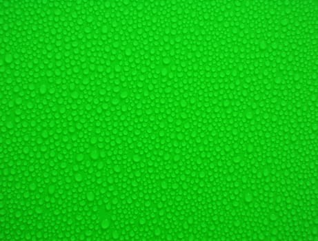 water-drops on green close up for you
