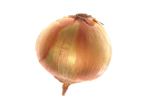 onion isolated on a white background for you