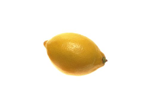 lemon isolated on a white background for you