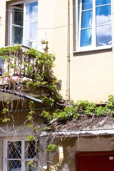 Old house with balcony with green plants in Vilnuis 
