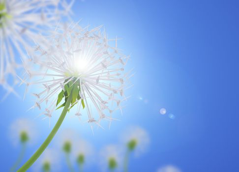 Dandelion flower symbolizes clean energy