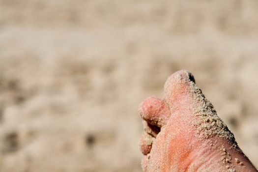 Wet foot of a man relaxing on sandy beach summer background image