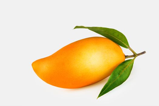 Close up view on nice fresh mango on white back