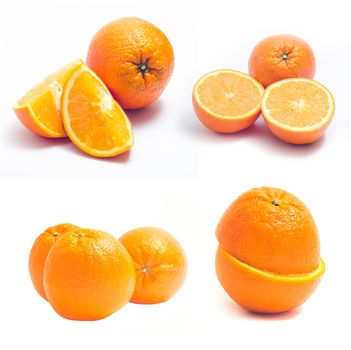 collection orange. orange on background
