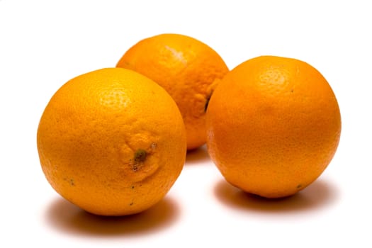 Oranges isolated on white background close up