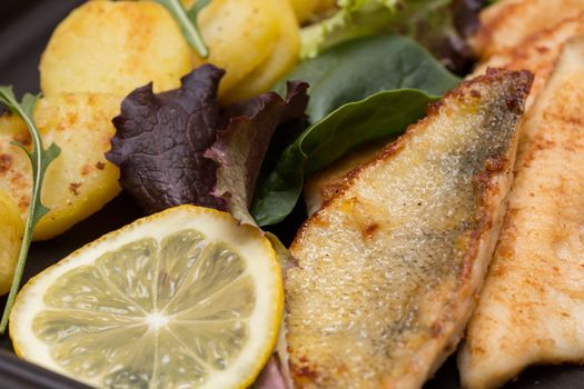 Fried perch filets with potatoes, lemon and salad