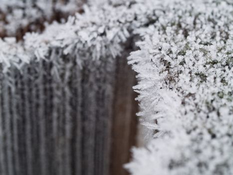 Ice Crystals on a Wooden Fence in the Early Morning With a Shallow Depth of Field