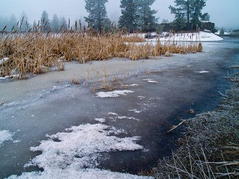 Frozen Marsh Area on an Overcast Day