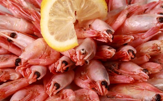 shrimp with lemon close up for you