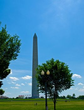 The Washington Monument at Springtime in Washington DC