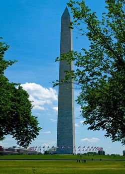 The Washington Monument at Springtime in Washington DC