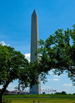 The Washington Monument at Springtime in Washington DC