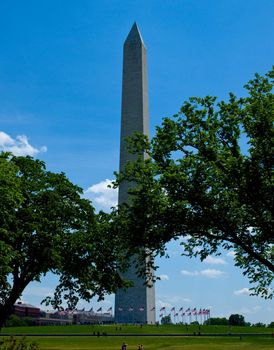 The Washington Monument at Springtime in Washington DC