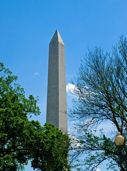 The Washington Monument at Springtime in Washington DC