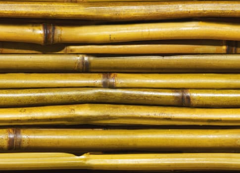 beautiful Japanese bamboo background for your web