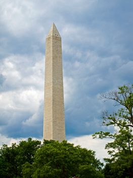 The Washington Monument at Springtime in Washington DC