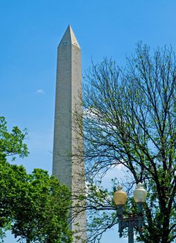 The Washington Monument at Springtime in Washington DC