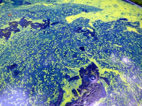 A background of liquid paint in mix of blue, green and turquoise colors appearing like the picture of the earth taken from a satellite.                               