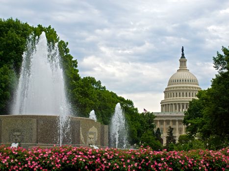 United States Capitol Building and Fountain in Washington DC