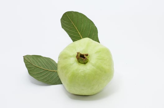 guava in isolated background