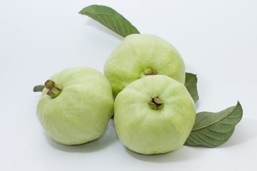 guavas in isolated background