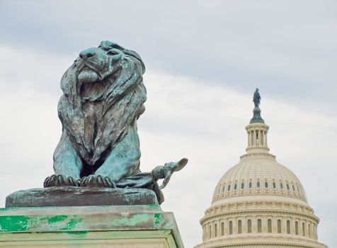 Lion Statue in Front of the US Capitol Building in Washington DC