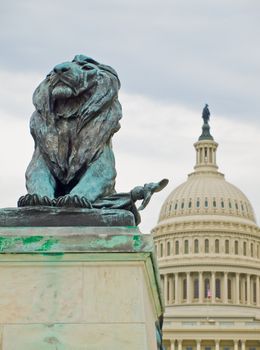 Lion Statue in Front of the US Capitol Building in Washington DC