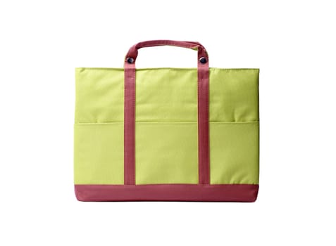 Laptop bag isolated on white