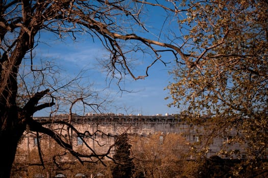 A Coloseum view with spring trees on the surface
