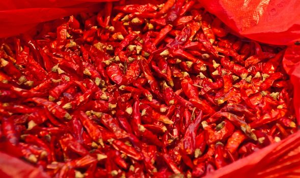 Bag full of red hot chili spicy pepper