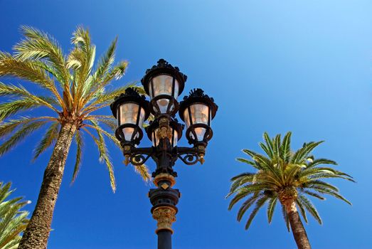 Old style street light among palm trees.