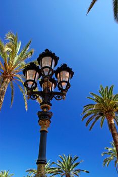 Old style street light among palm trees. 