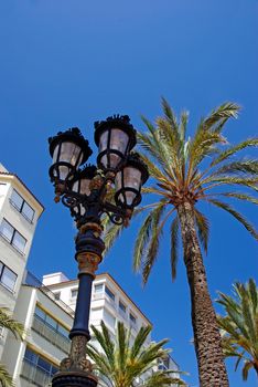 Street light and palms with luxury apartments building in background. Lloret de Mar, Spain.