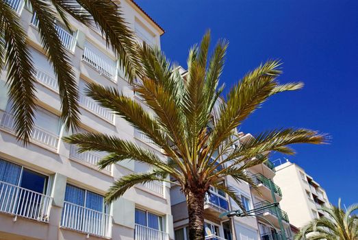 Green palms, hotels and luxury apartments in Lloret de Mar, Spain.