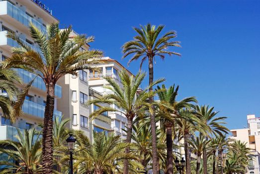 Green palms, hotels and luxury apartments in Lloret de Mar, Spain.