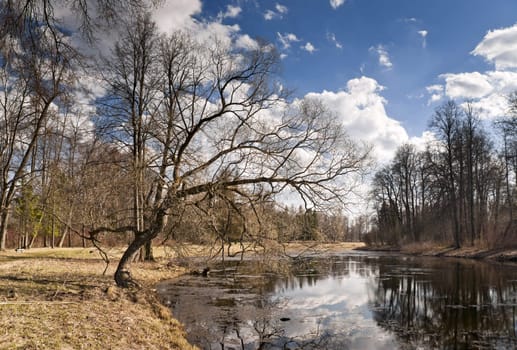 Early Spring in the park with the pond, yellow last year's grass and awakening trees