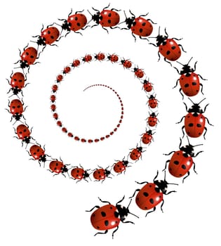 Illustration of a spiral of Ladybirds