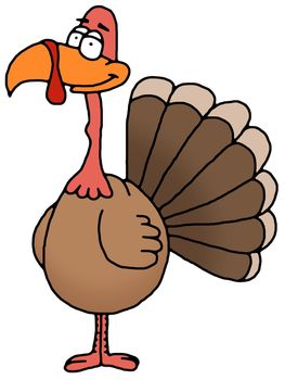 Illustration of an isolated Thanksgiving Turkey