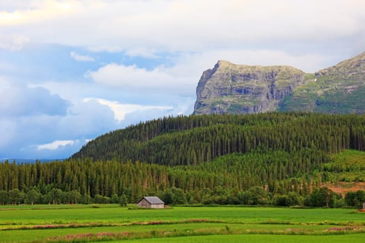 Small farm houses in valley. Landscapes of Norway.