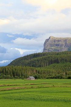 Small farm houses in valley. Landscapes of Norway.