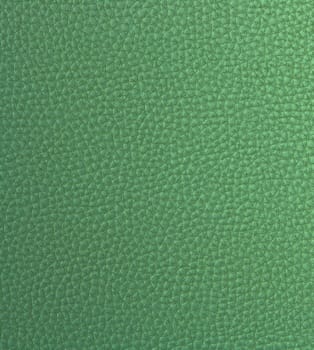 Light Green Fake Leather Pattern